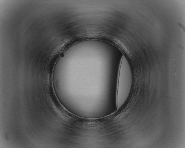 X0000092000542200709061242