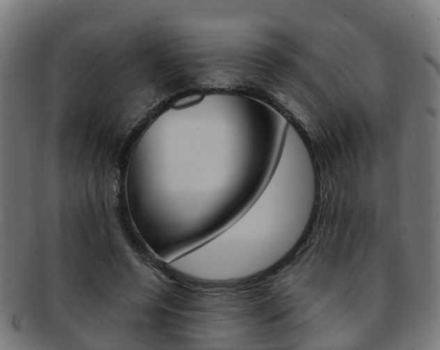 X0000092000544200709061242