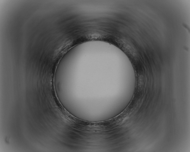 X0000092000545200709061242