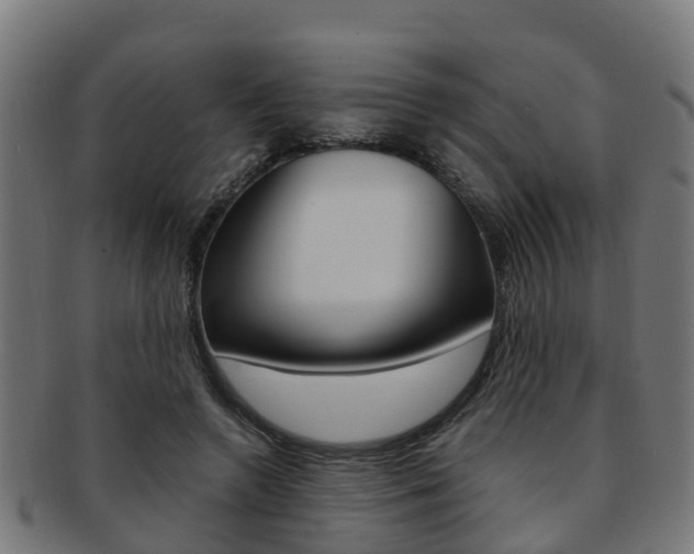X0000092000546200709061242