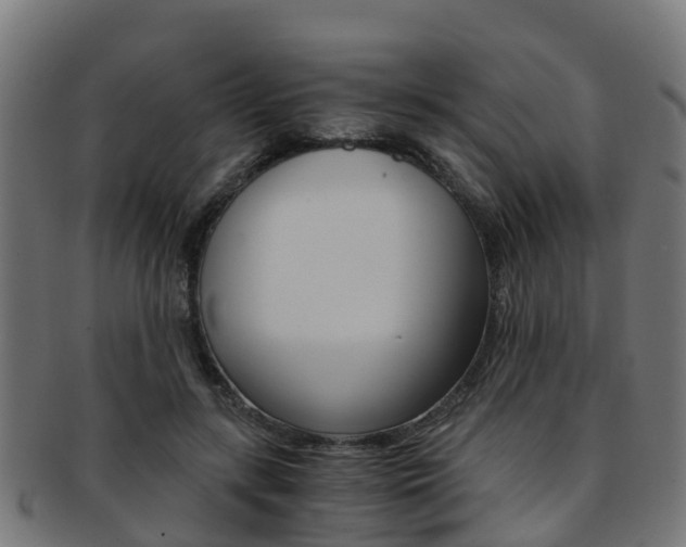 X0000092000547200709061242