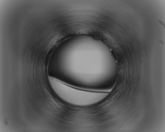 X0000092000548200709061242