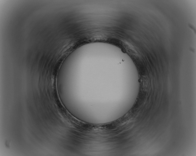 X0000092000550200709061242