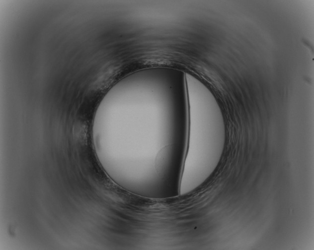 X0000092000551200709061242