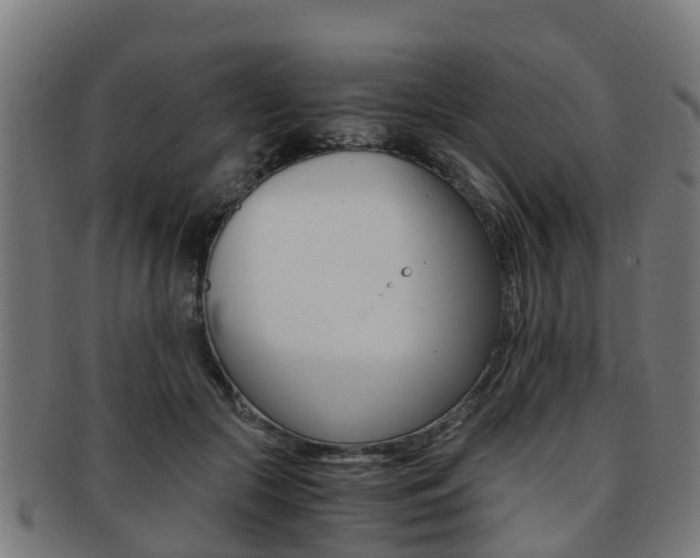 X0000092000553200709061242