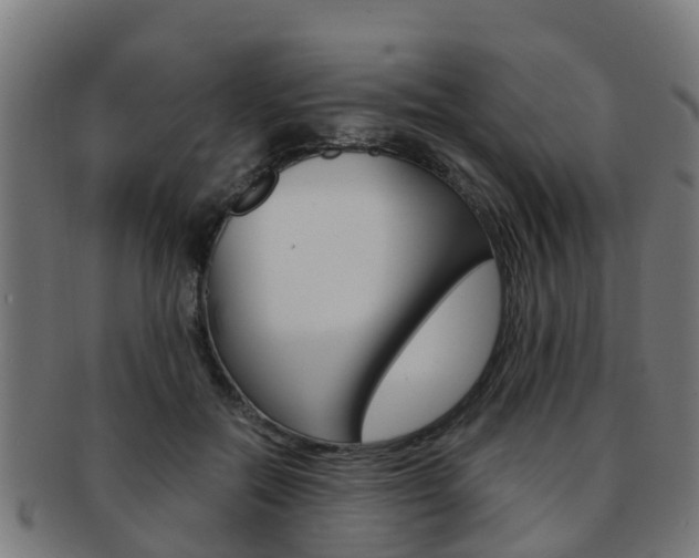 X0000092000554200709061242