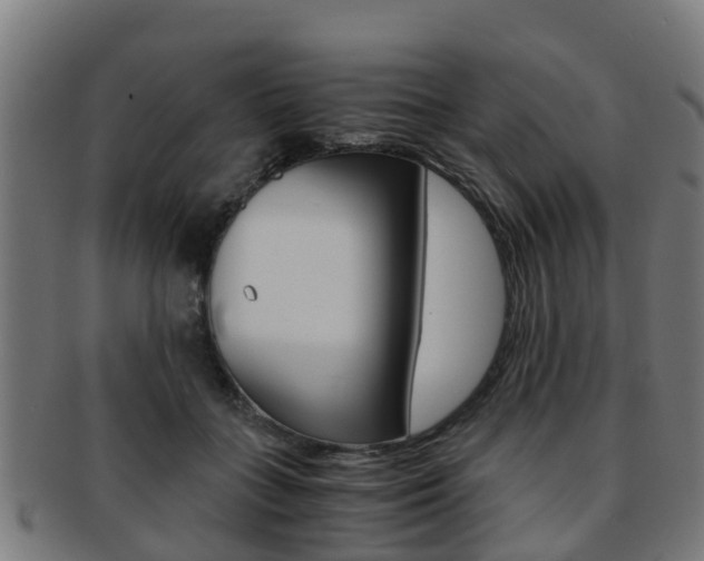 X0000092000555200709061242