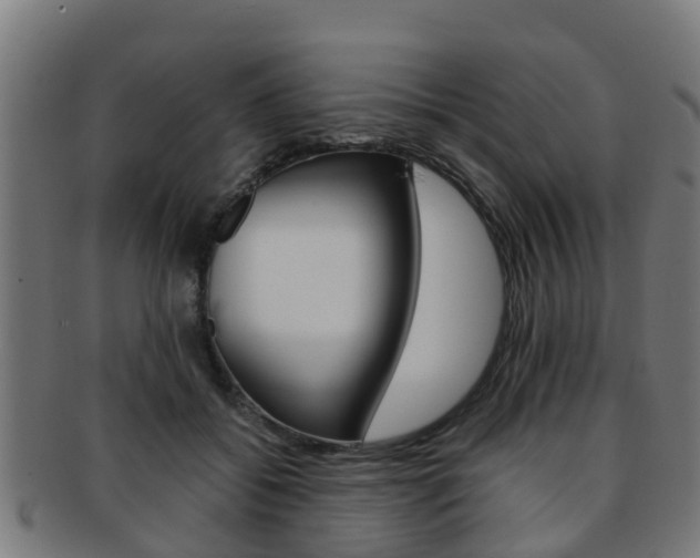 X0000092000556200709061242