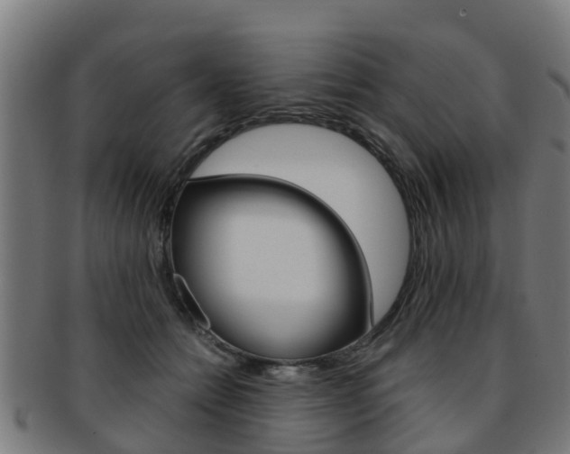 X0000092000558200709061242
