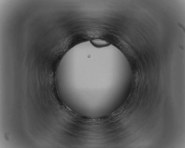 X0000092000559200709061242