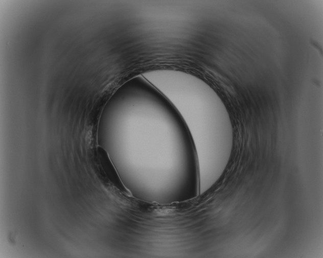 X0000092000560200709061242
