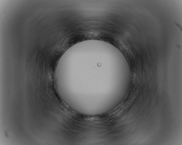 X0000092000561200709061242