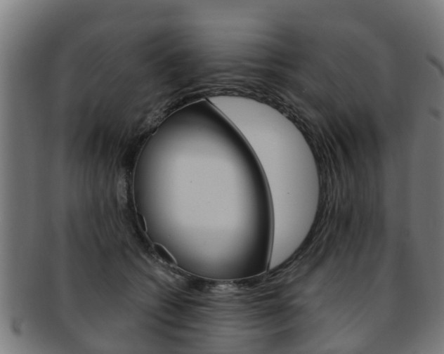 X0000092000562200709061242