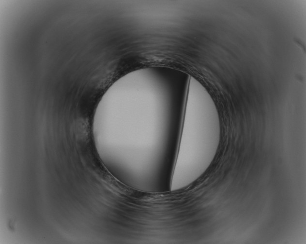 X0000092000563200709061242