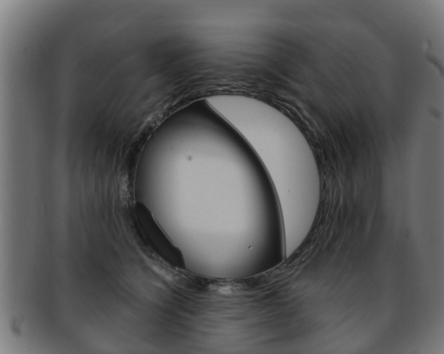 X0000092000564200709061242