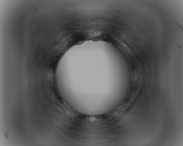 X0000092000565200709061242