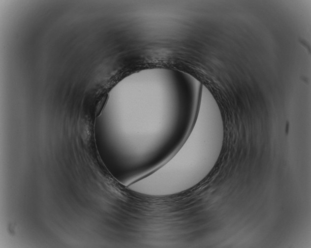 X0000092000566200709061242