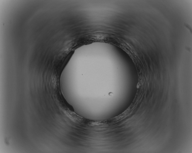 X0000092000568200709061242