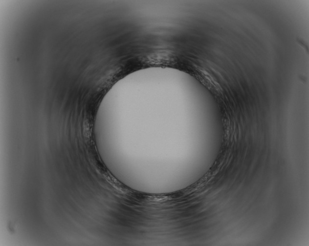 X0000092000569200709061242