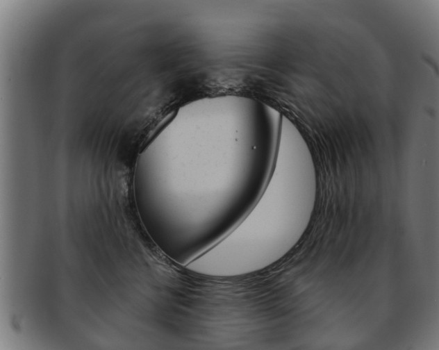 X0000092000570200709061242