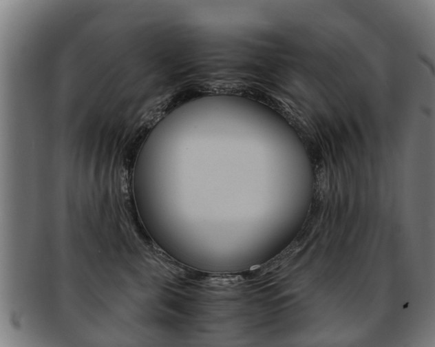 X0000092000571200709061242