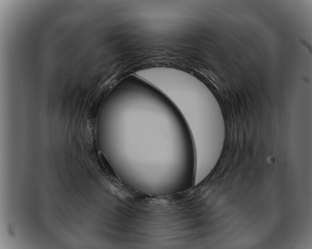 X0000092000572200709061242