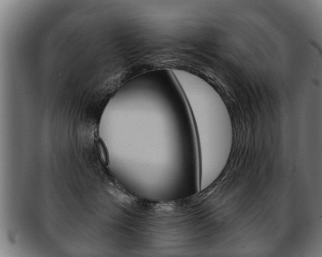 X0000092000574200709061242