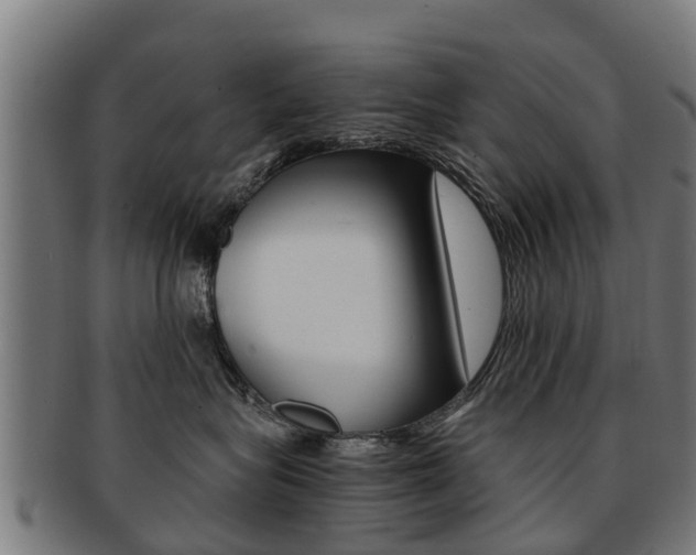X0000092000575200709061242