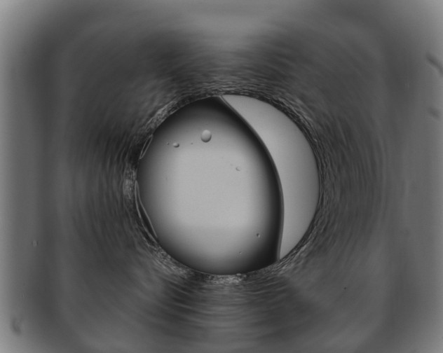 X0000092000576200709061242