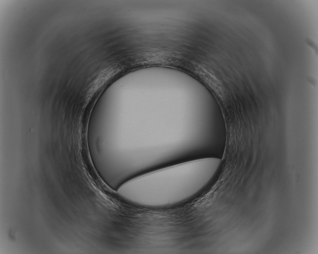 X0000092000578200709061242