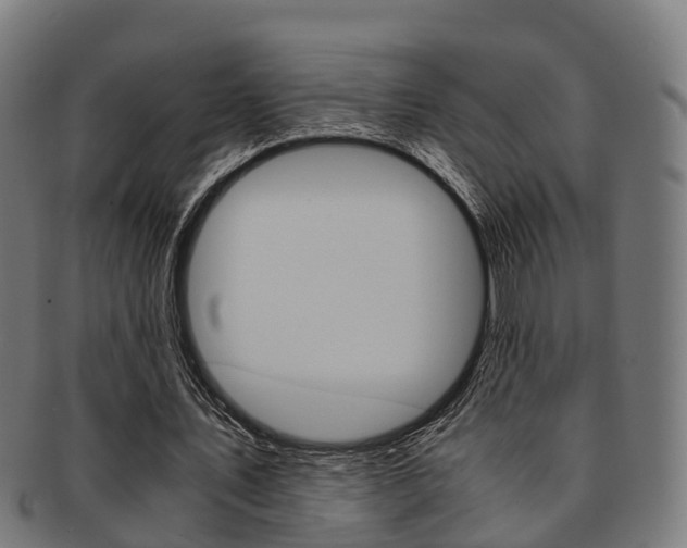 X0000092000579200709061242