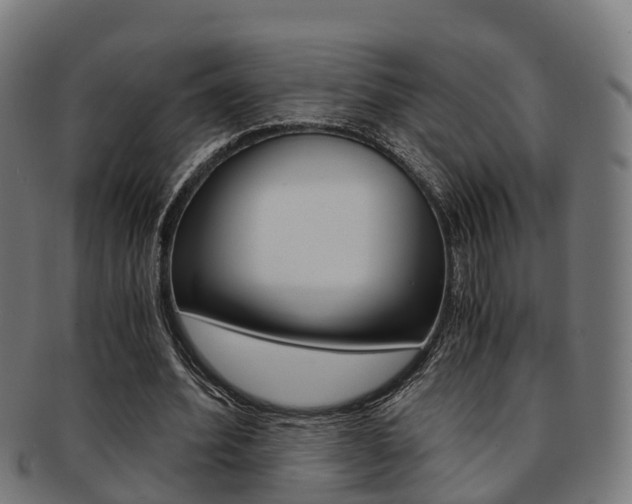 X0000092000580200709061242