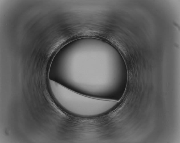 X0000092000581200709061242