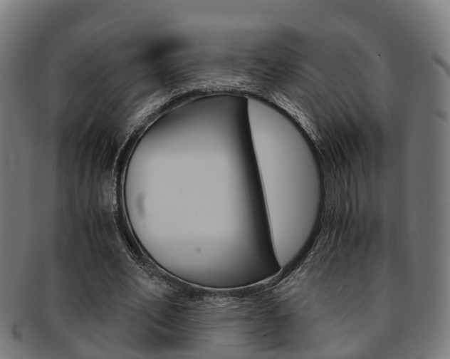 X0000092000582200709061242