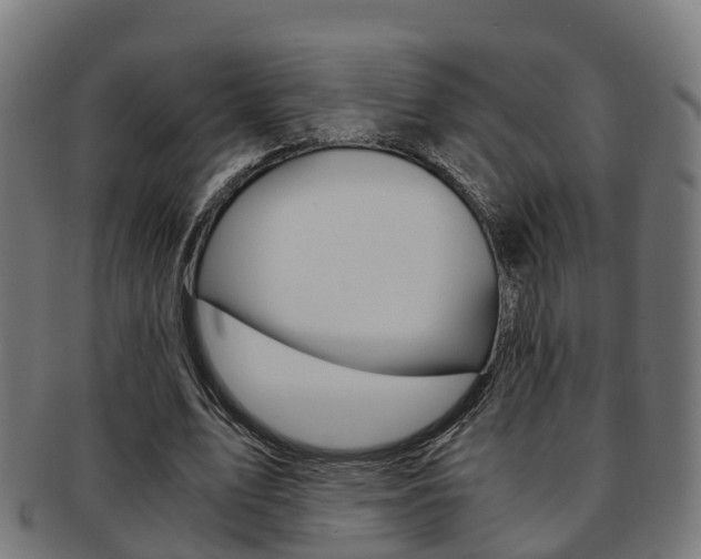 X0000092000583200709061242
