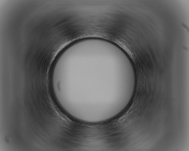 X0000092000584200709061242