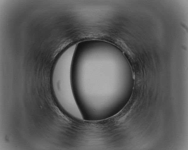 X0000092000585200709061242