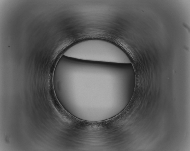 X0000092000586200709061242