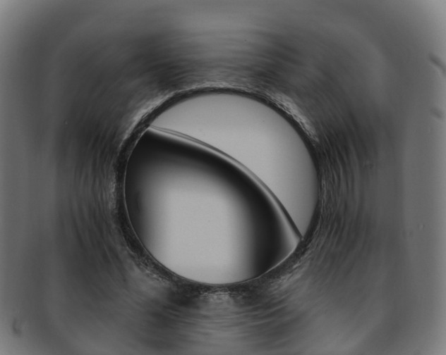 X0000092000588200709061242