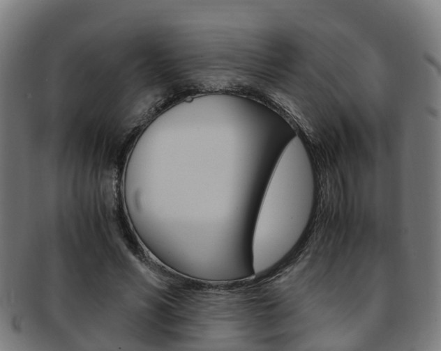 X0000092000590200709061242