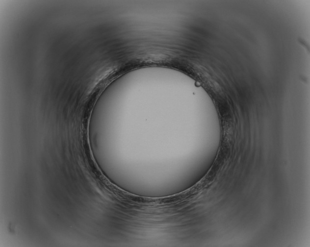 X0000092000591200709061242