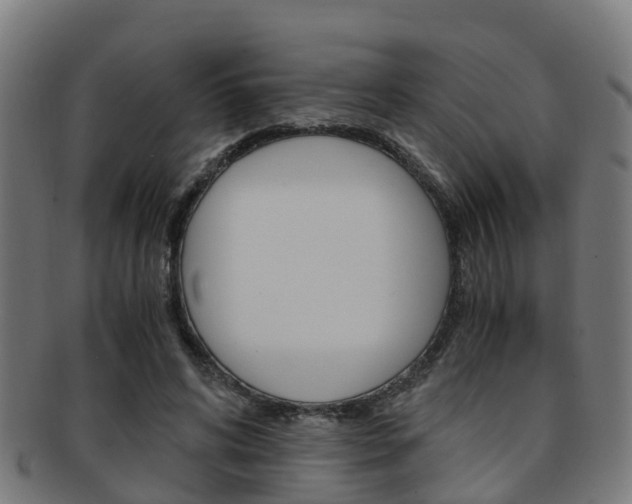 X0000092000592200709061242