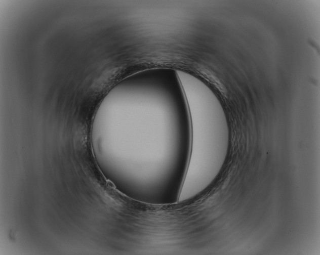 X0000092000593200709061242