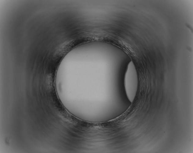 X0000092000594200709061242