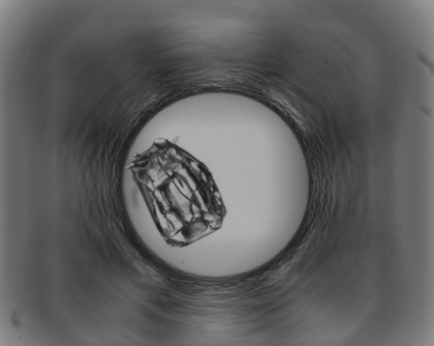 X0000092000597200709061242