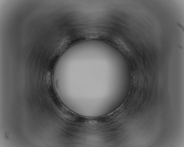X0000092000598200709061242