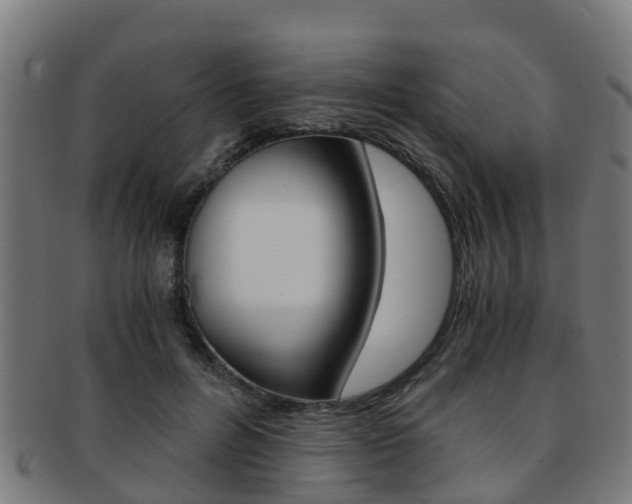 X0000092000600200709061241