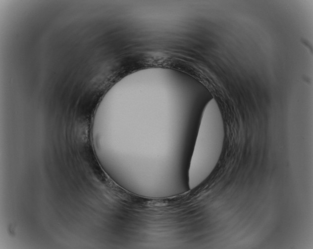 X0000092000602200709061241