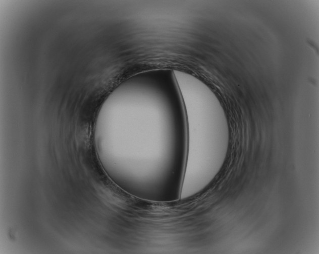 X0000092000605200709061241
