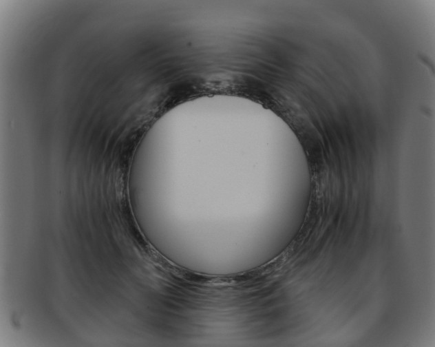 X0000092000606200709061241